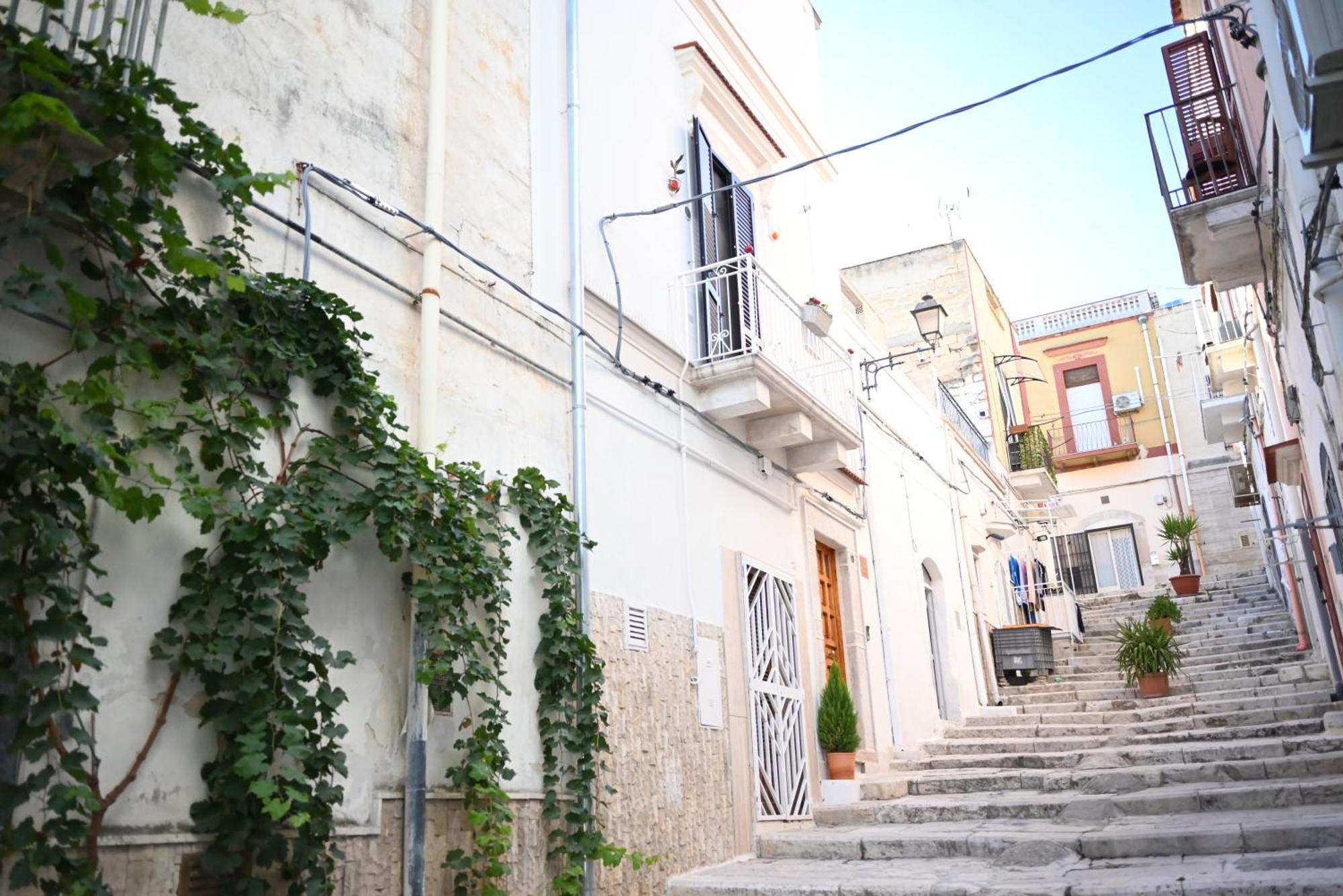 Apartment Faliero *